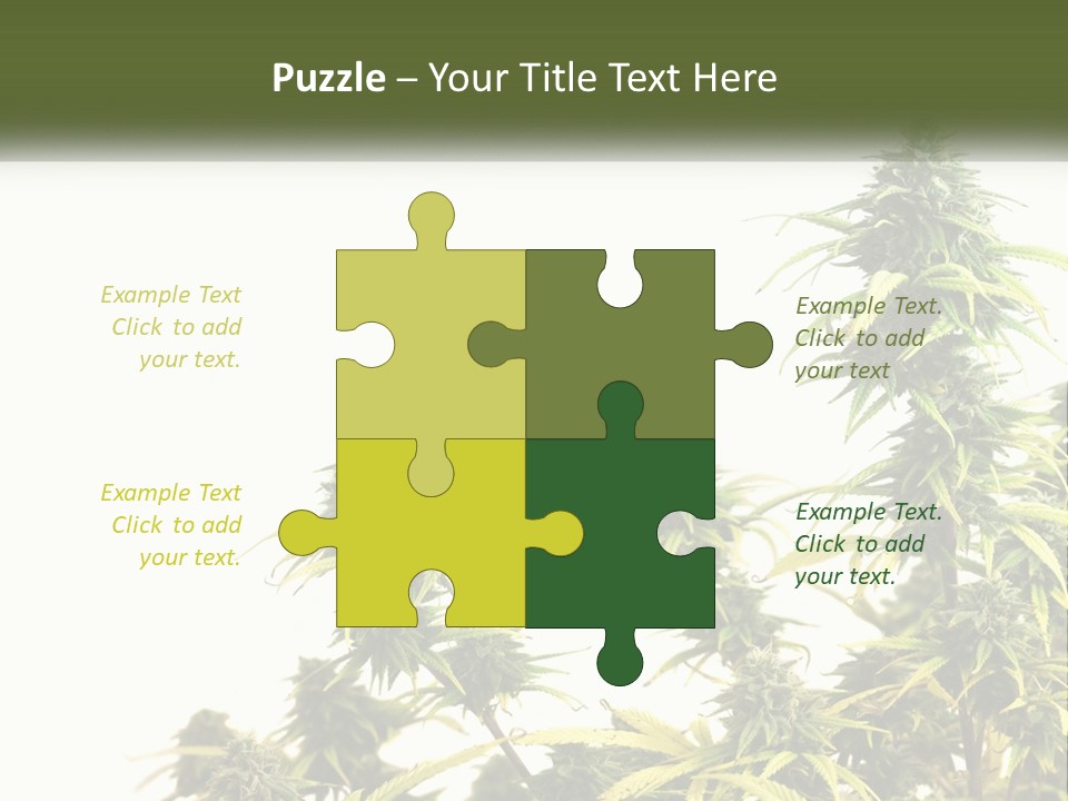 Leaf House Buy PowerPoint Template