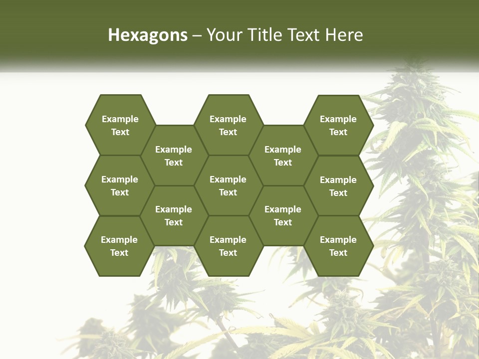 Leaf House Buy PowerPoint Template