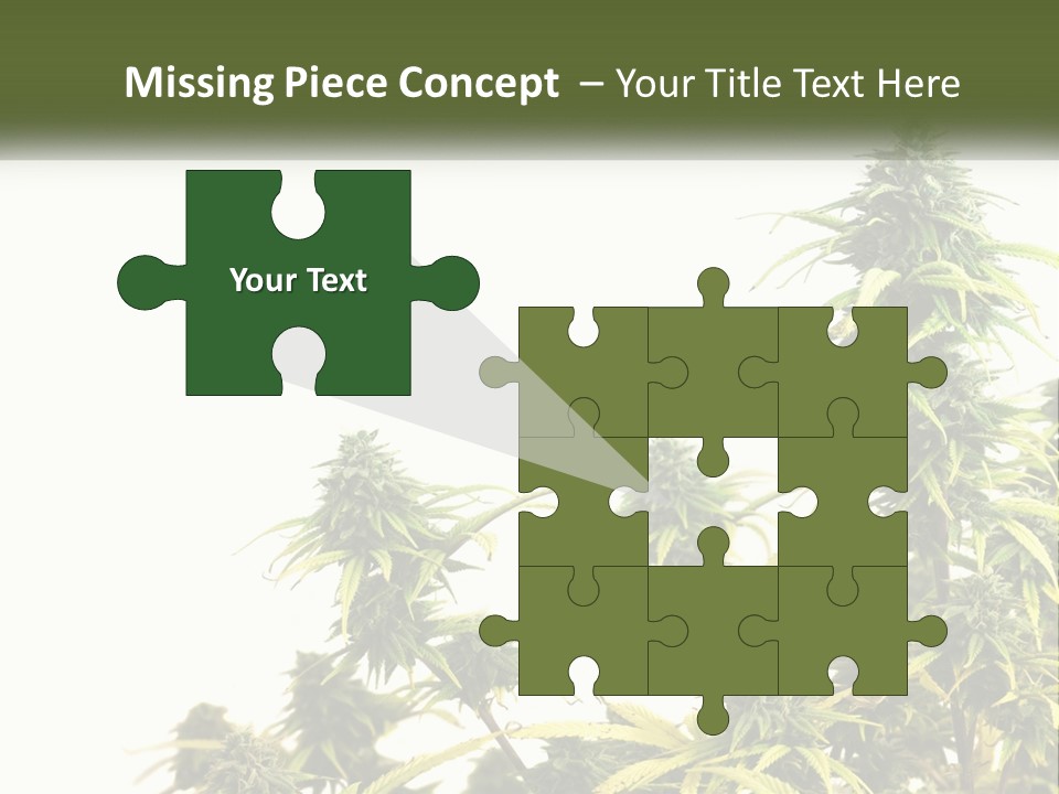 Leaf House Buy PowerPoint Template