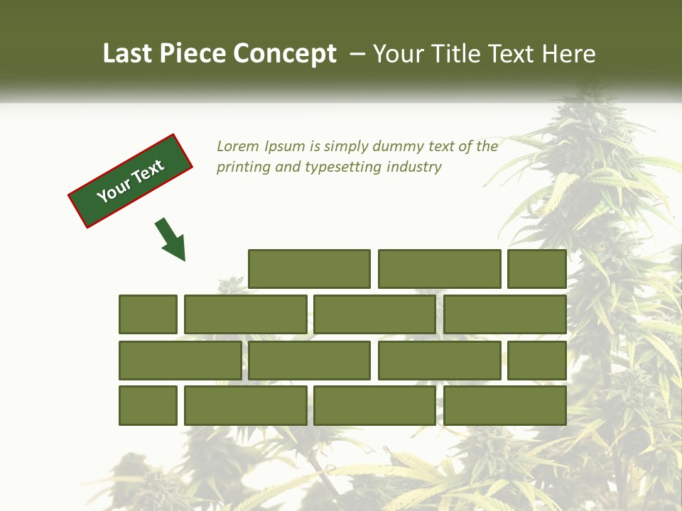 Leaf House Buy PowerPoint Template