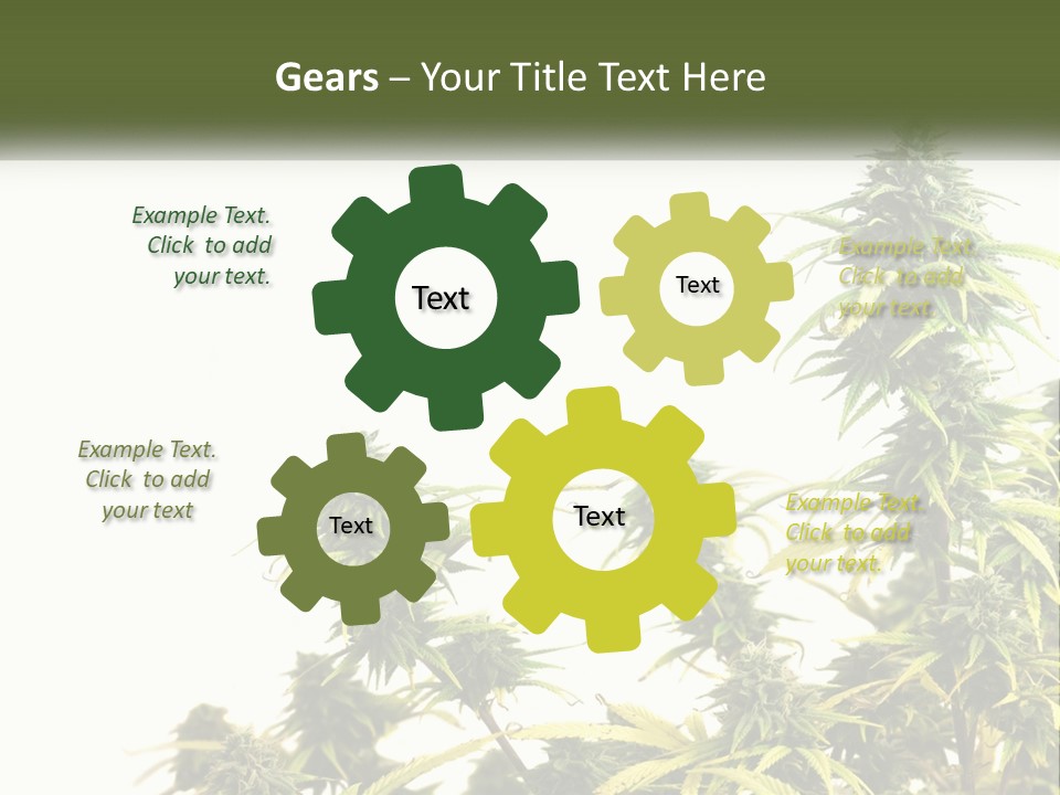 Leaf House Buy PowerPoint Template