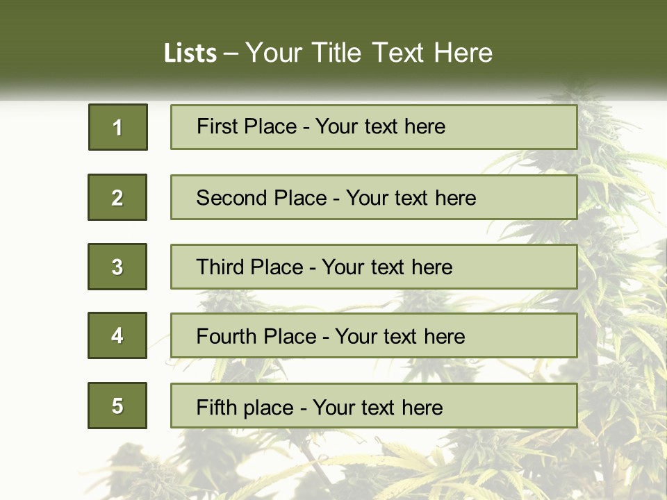 Leaf House Buy PowerPoint Template