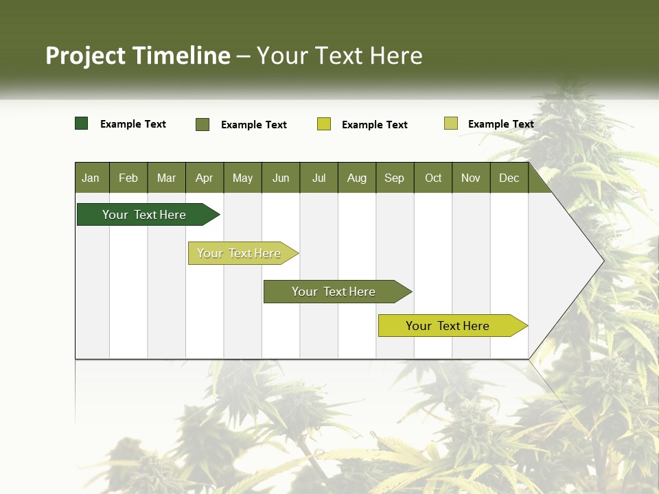Leaf House Buy PowerPoint Template