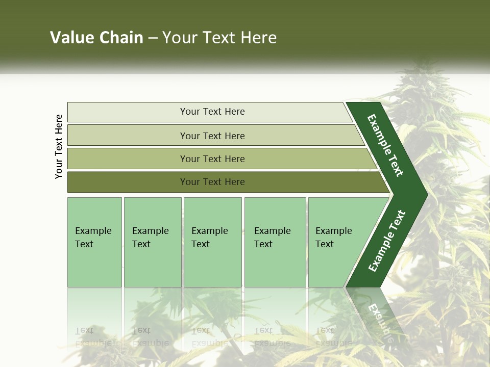 Leaf House Buy PowerPoint Template