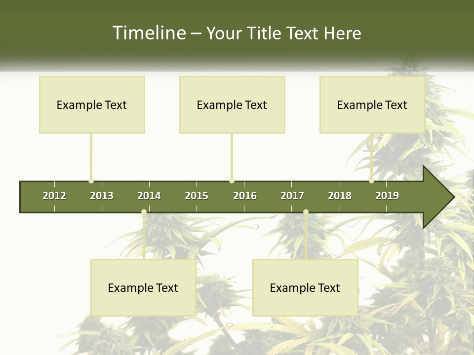 Leaf House Buy PowerPoint Template