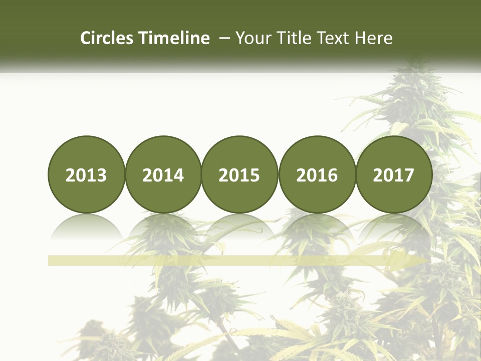 Leaf House Buy PowerPoint Template