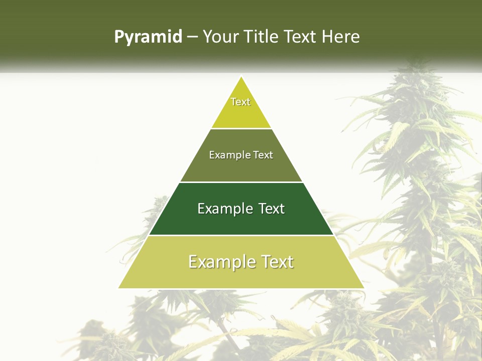 Leaf House Buy PowerPoint Template