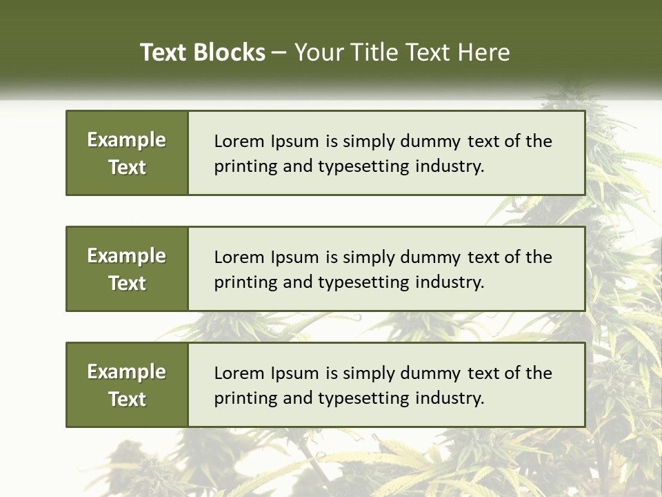 Leaf House Buy PowerPoint Template