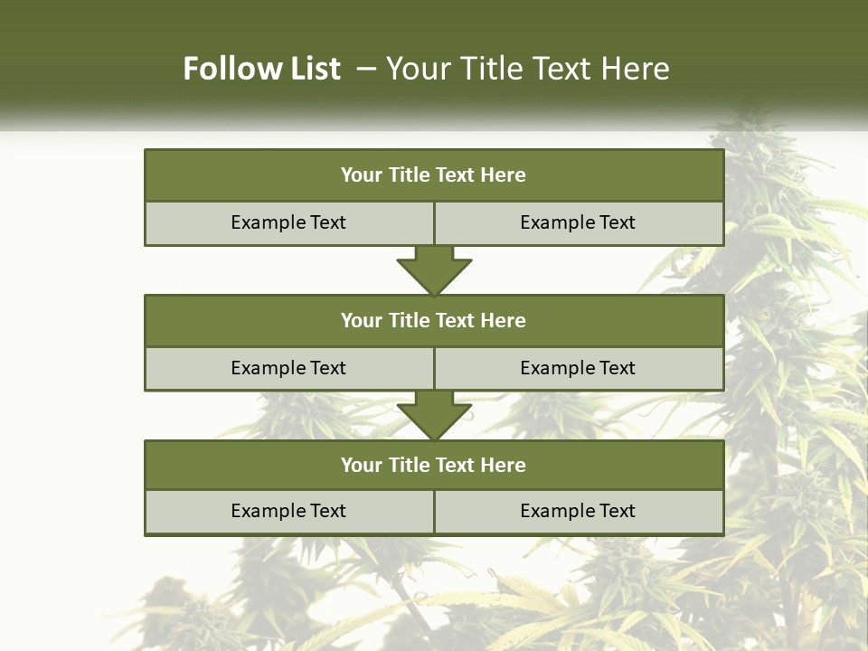 Leaf House Buy PowerPoint Template