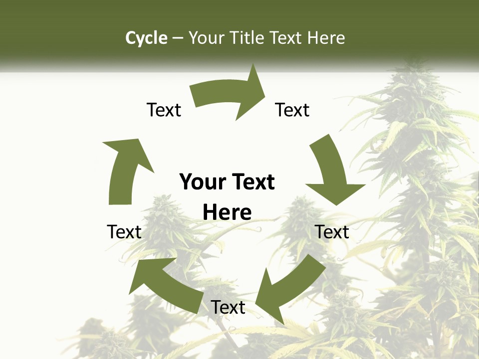 Leaf House Buy PowerPoint Template