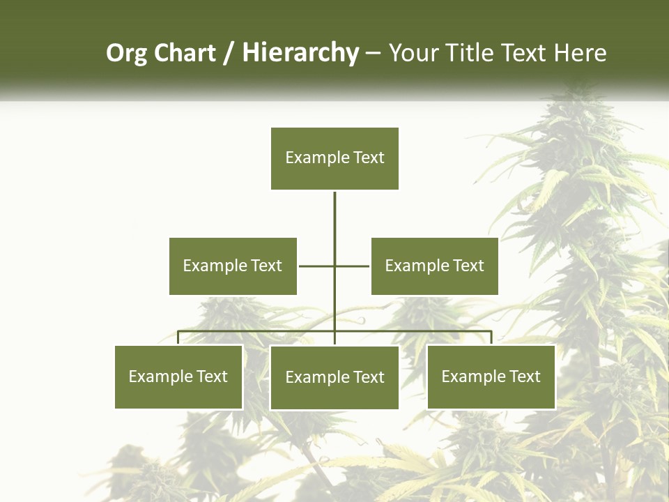 Leaf House Buy PowerPoint Template