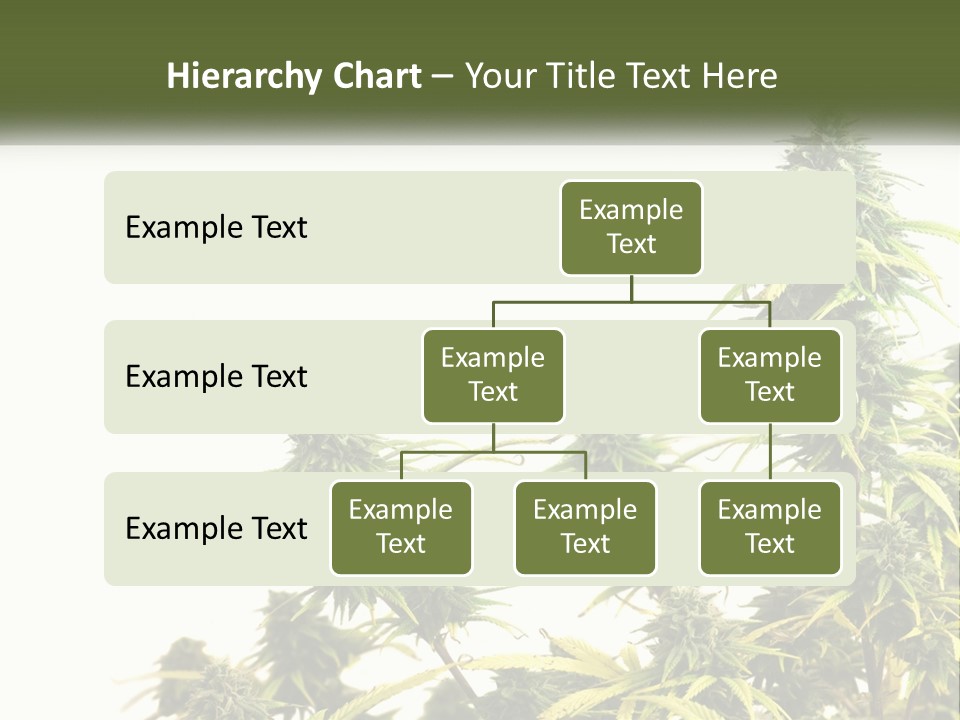 Leaf House Buy PowerPoint Template