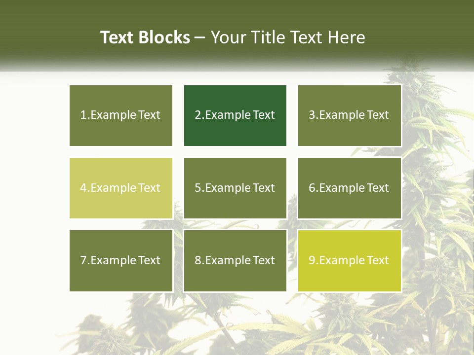 Leaf House Buy PowerPoint Template