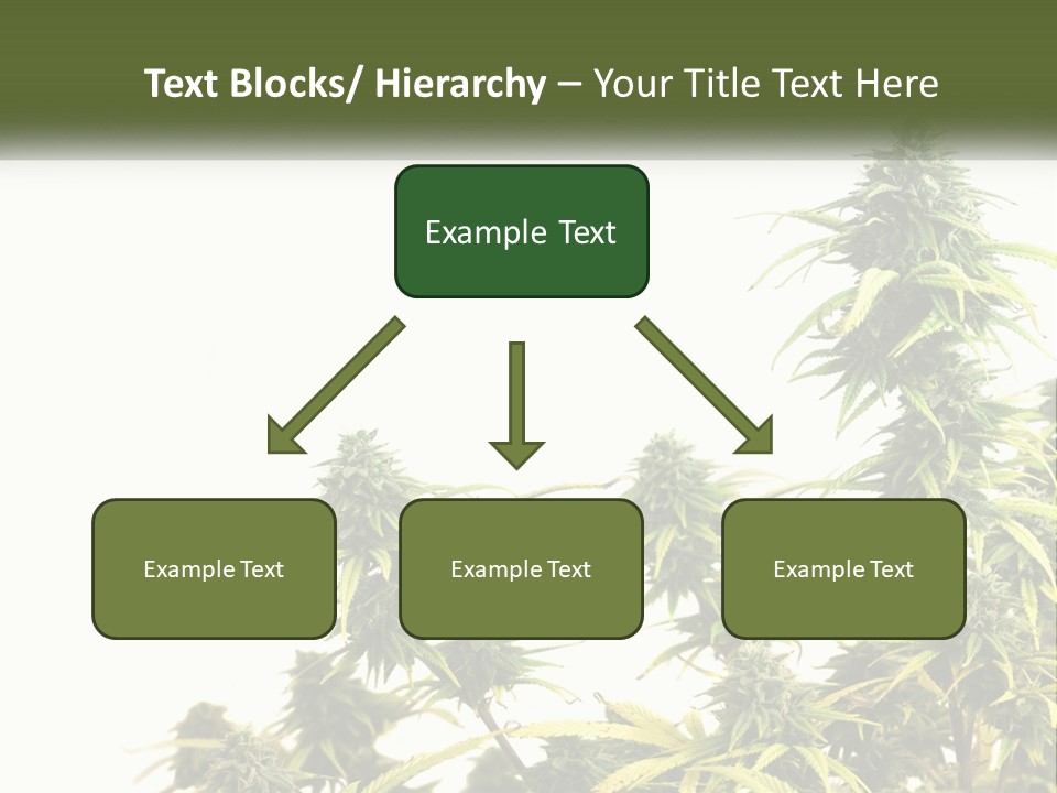 Leaf House Buy PowerPoint Template