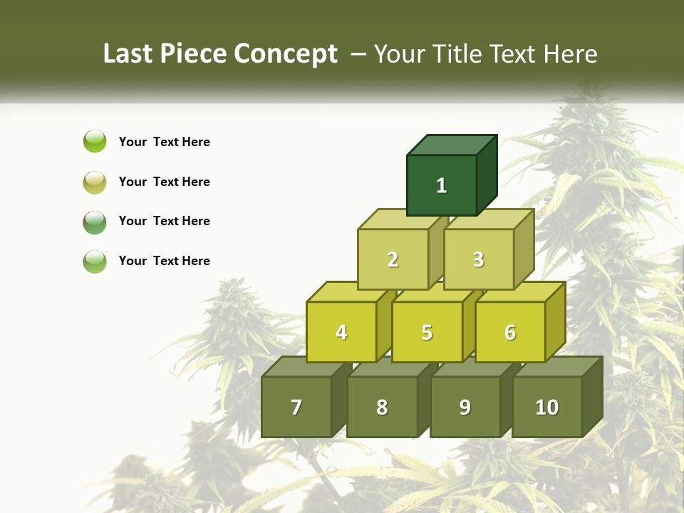 Leaf House Buy PowerPoint Template