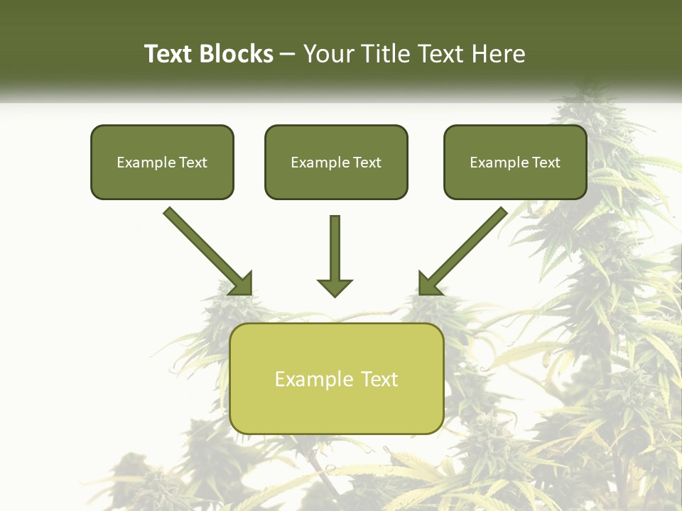 Leaf House Buy PowerPoint Template