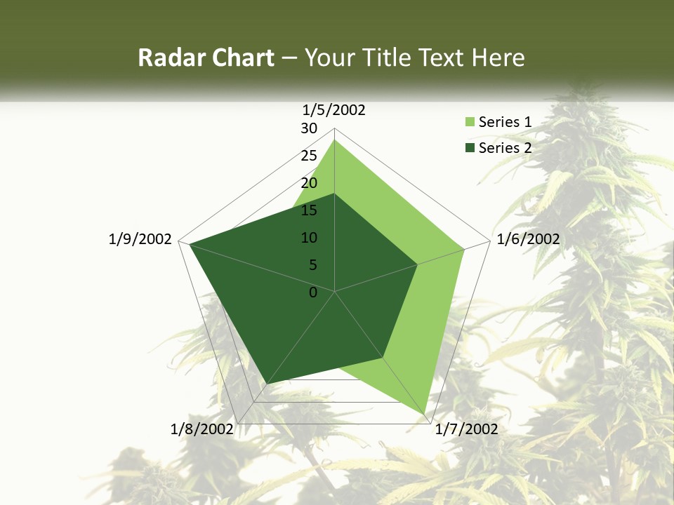 Leaf House Buy PowerPoint Template