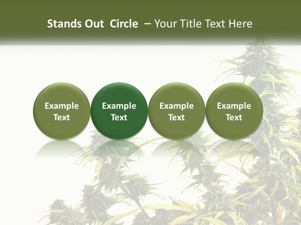 Leaf House Buy PowerPoint Template