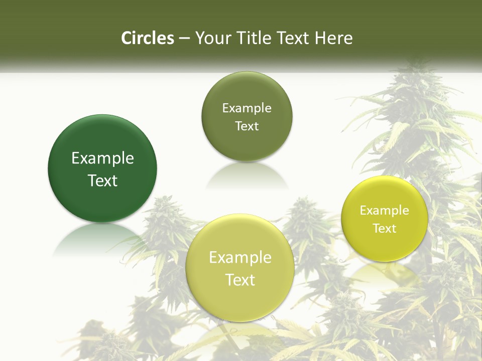 Leaf House Buy PowerPoint Template