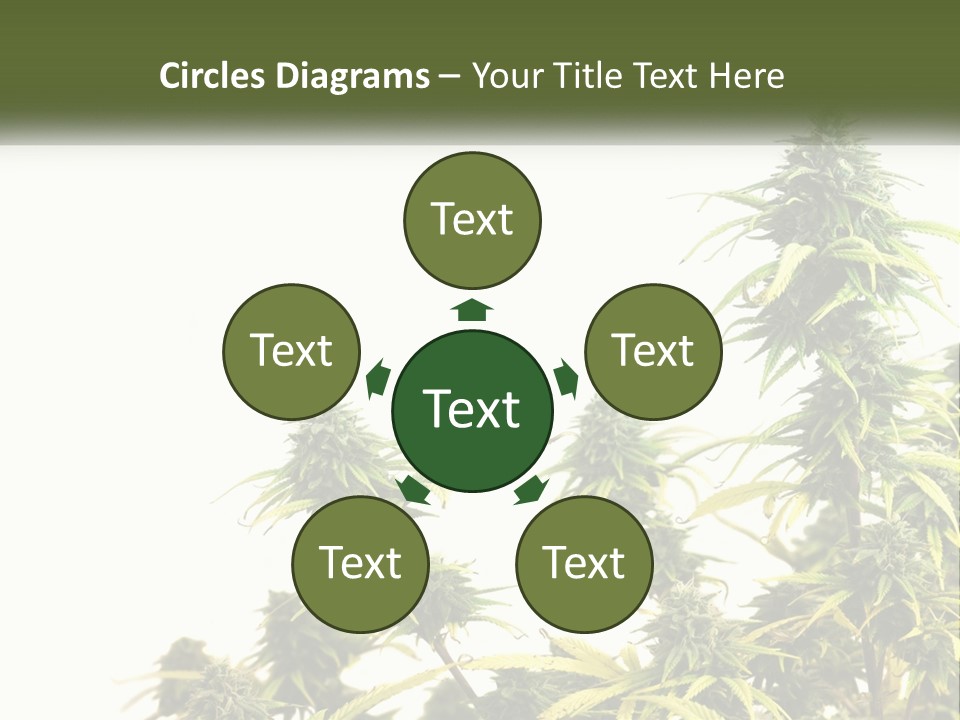 Leaf House Buy PowerPoint Template