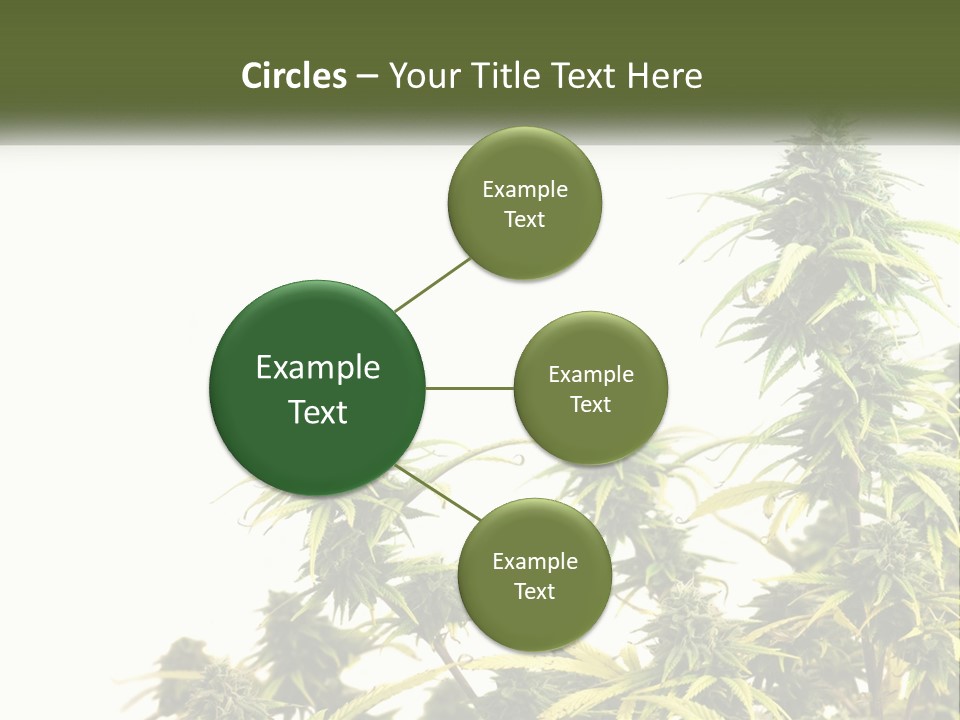 Leaf House Buy PowerPoint Template