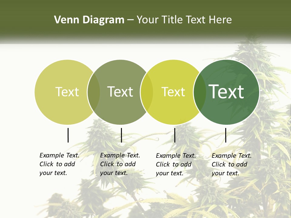 Leaf House Buy PowerPoint Template