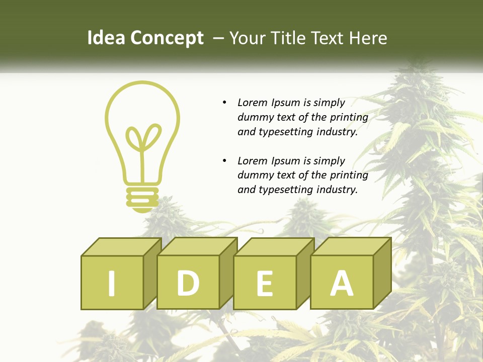 Leaf House Buy PowerPoint Template