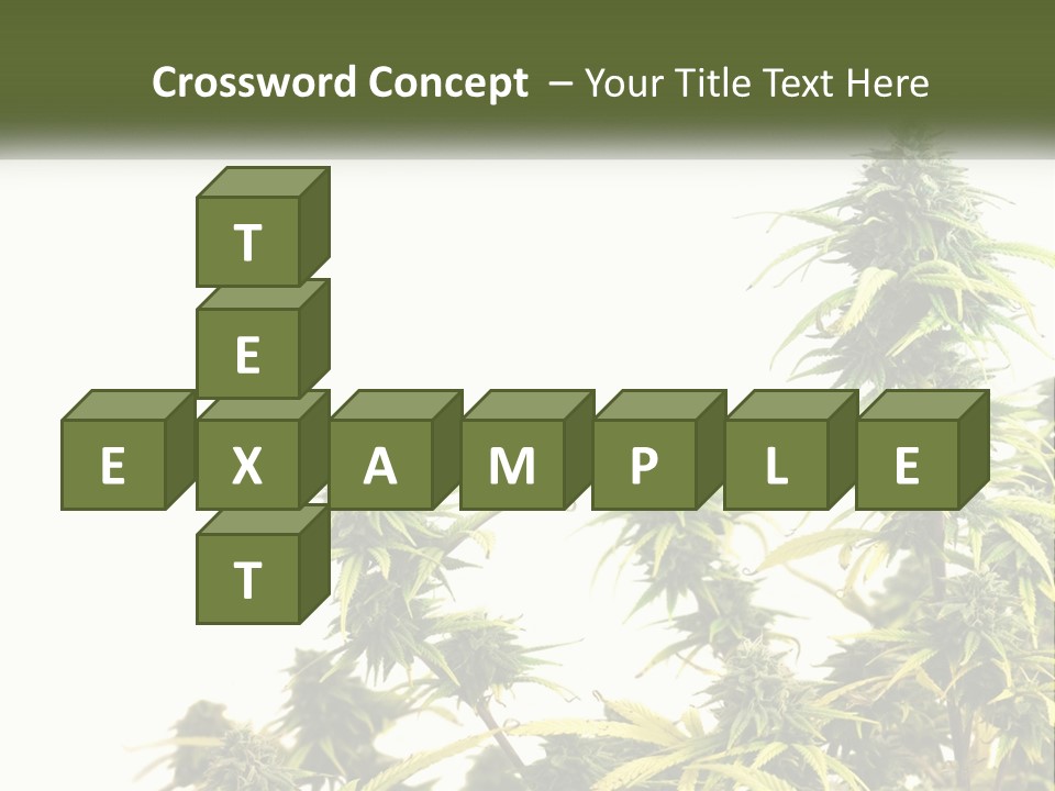 Leaf House Buy PowerPoint Template