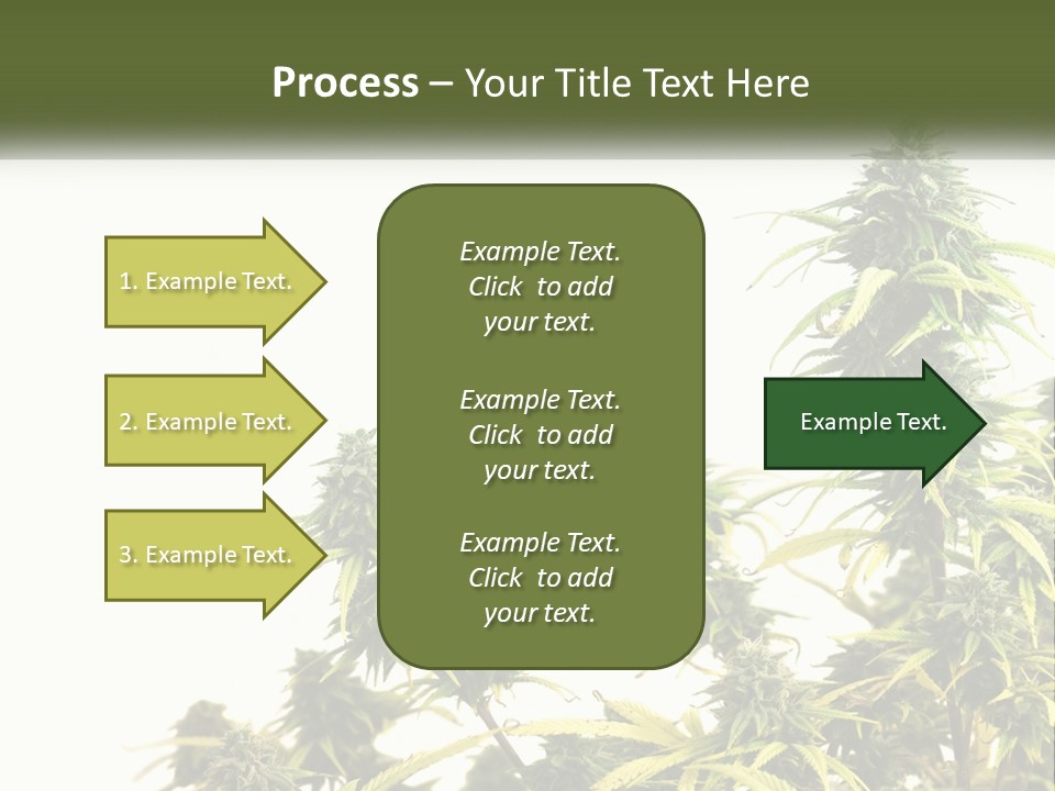 Leaf House Buy PowerPoint Template