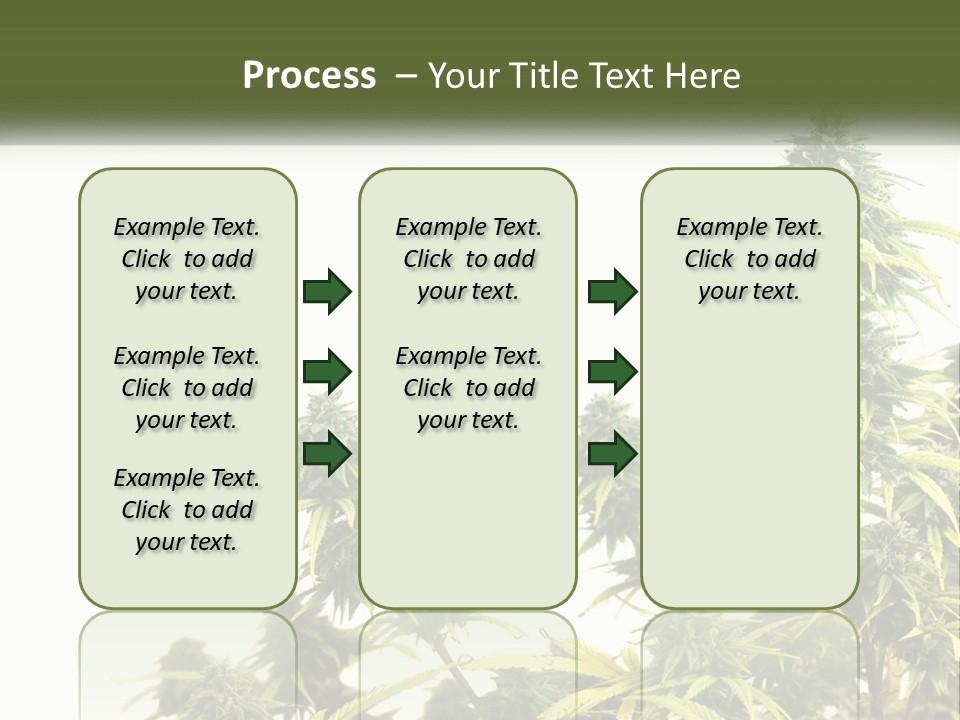 Leaf House Buy PowerPoint Template