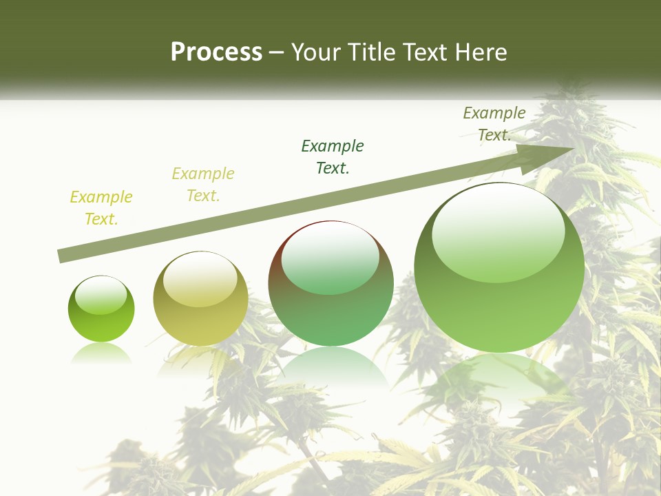 Leaf House Buy PowerPoint Template