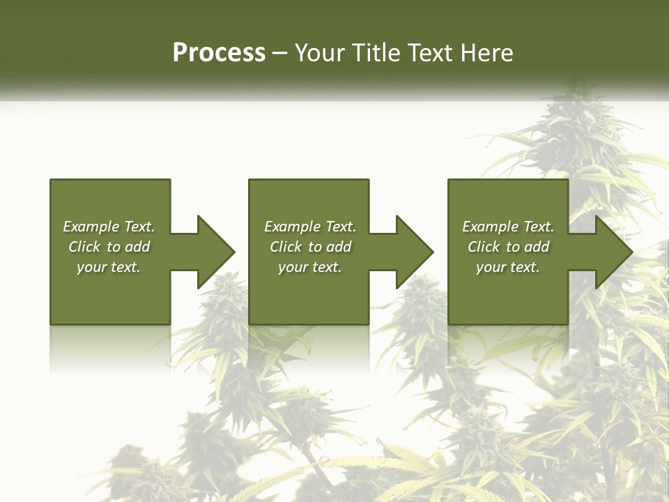 Leaf House Buy PowerPoint Template