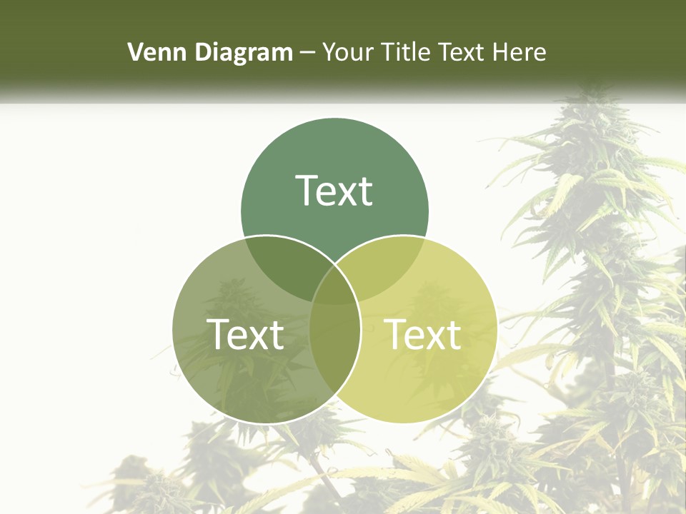 Leaf House Buy PowerPoint Template