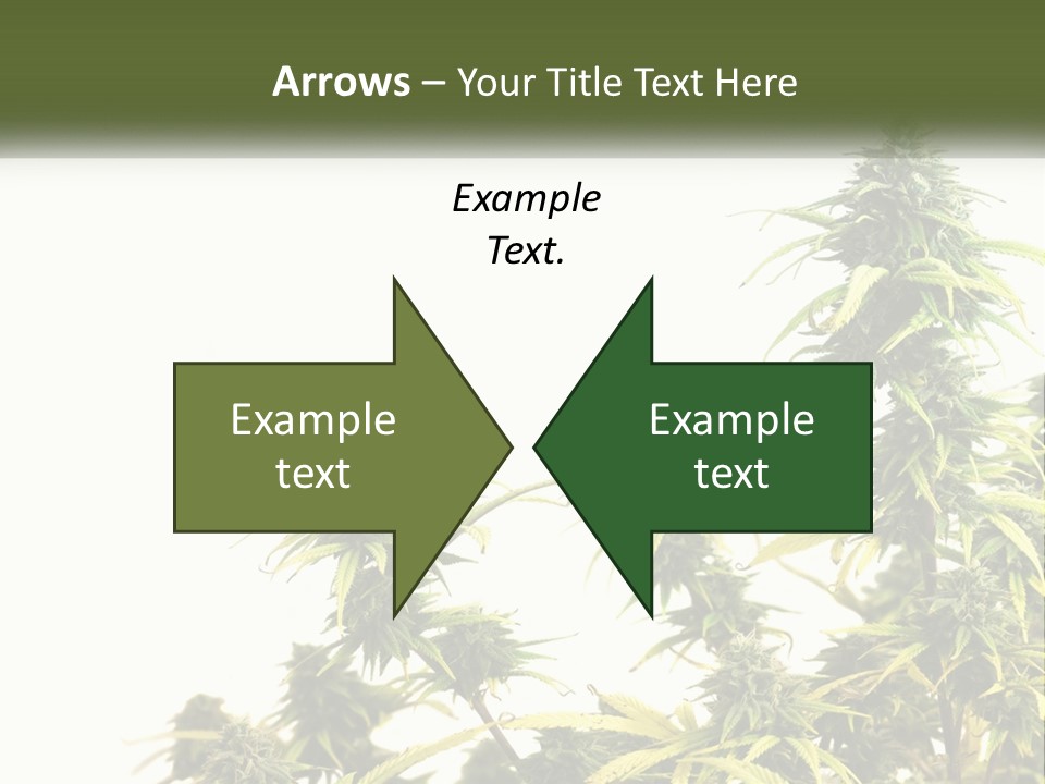 Leaf House Buy PowerPoint Template