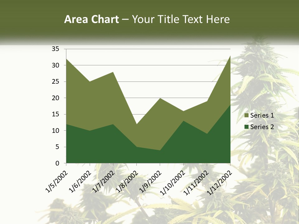 Leaf House Buy PowerPoint Template