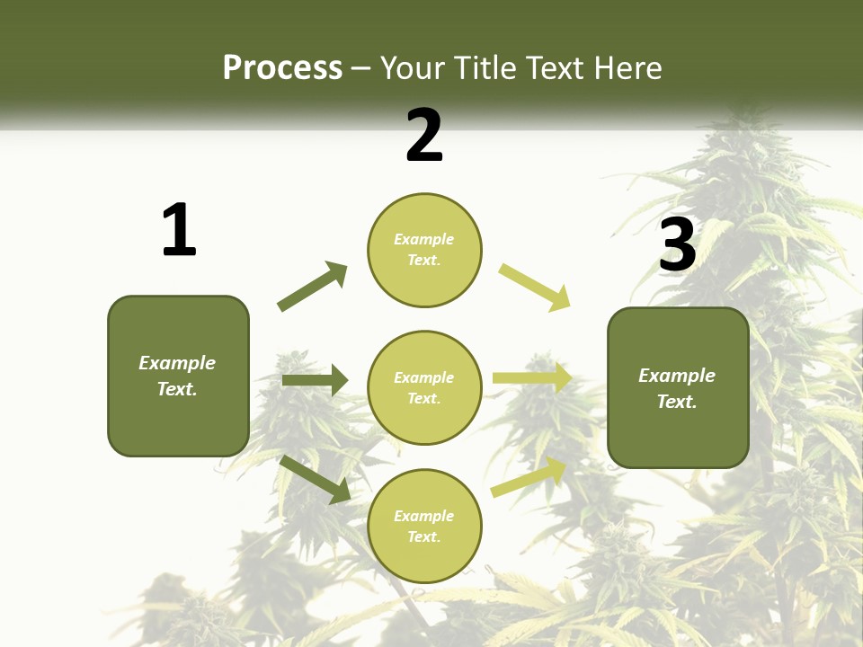 Leaf House Buy PowerPoint Template