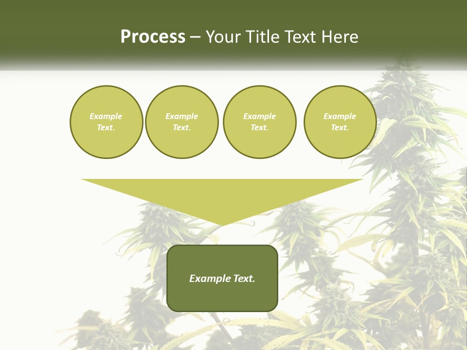 Leaf House Buy PowerPoint Template