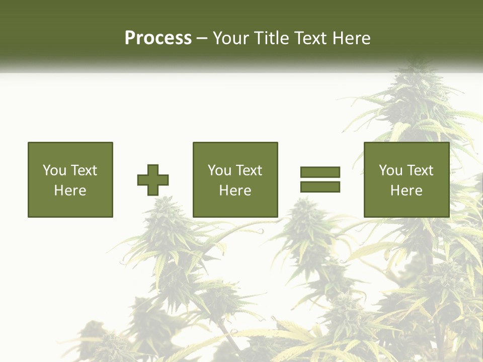 Leaf House Buy PowerPoint Template