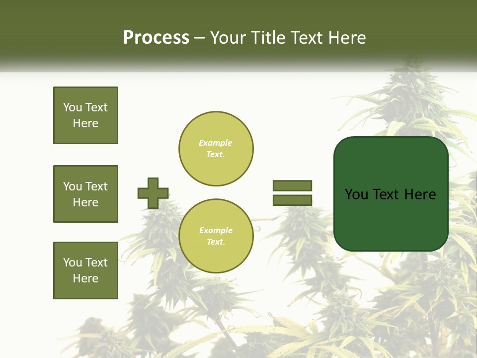 Leaf House Buy PowerPoint Template