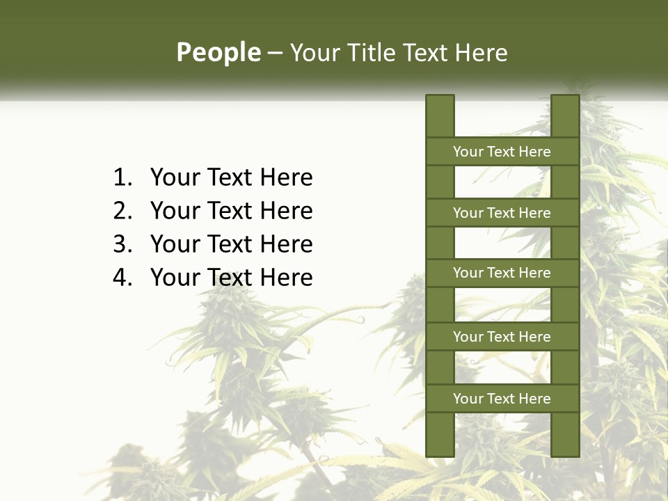 Leaf House Buy PowerPoint Template