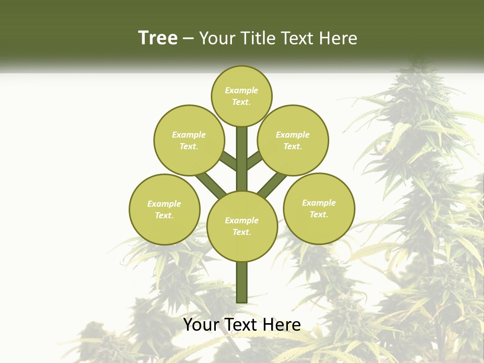 Leaf House Buy PowerPoint Template