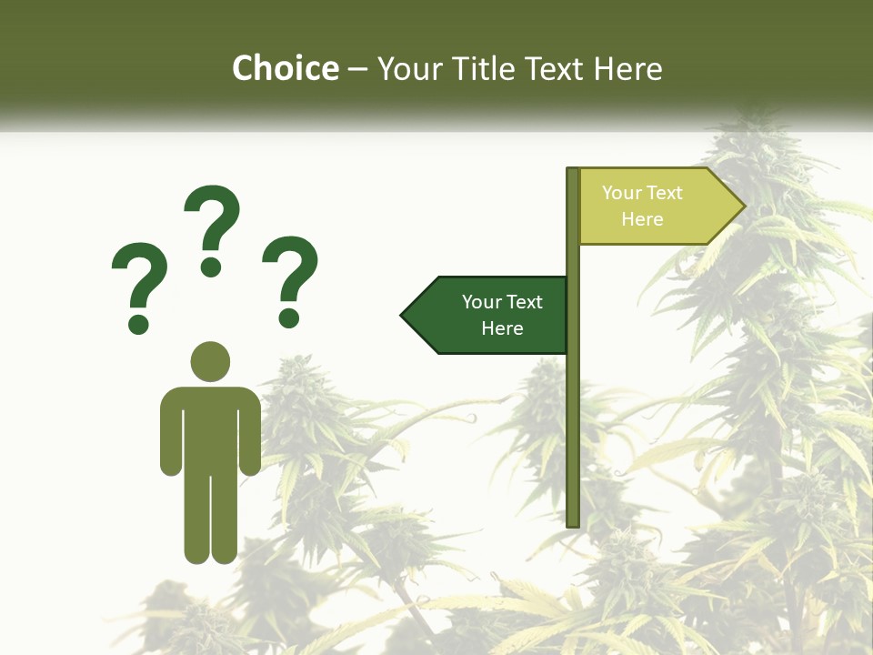 Leaf House Buy PowerPoint Template