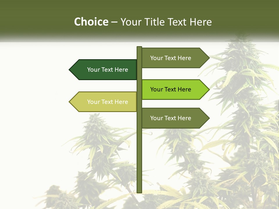 Leaf House Buy PowerPoint Template