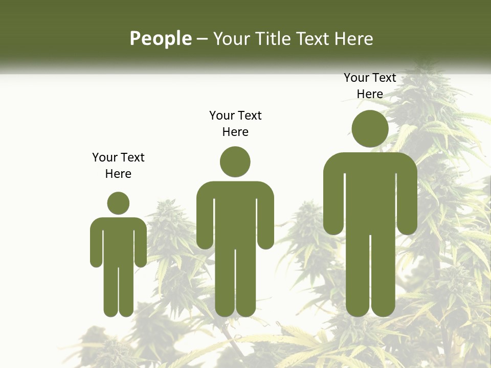 Leaf House Buy PowerPoint Template