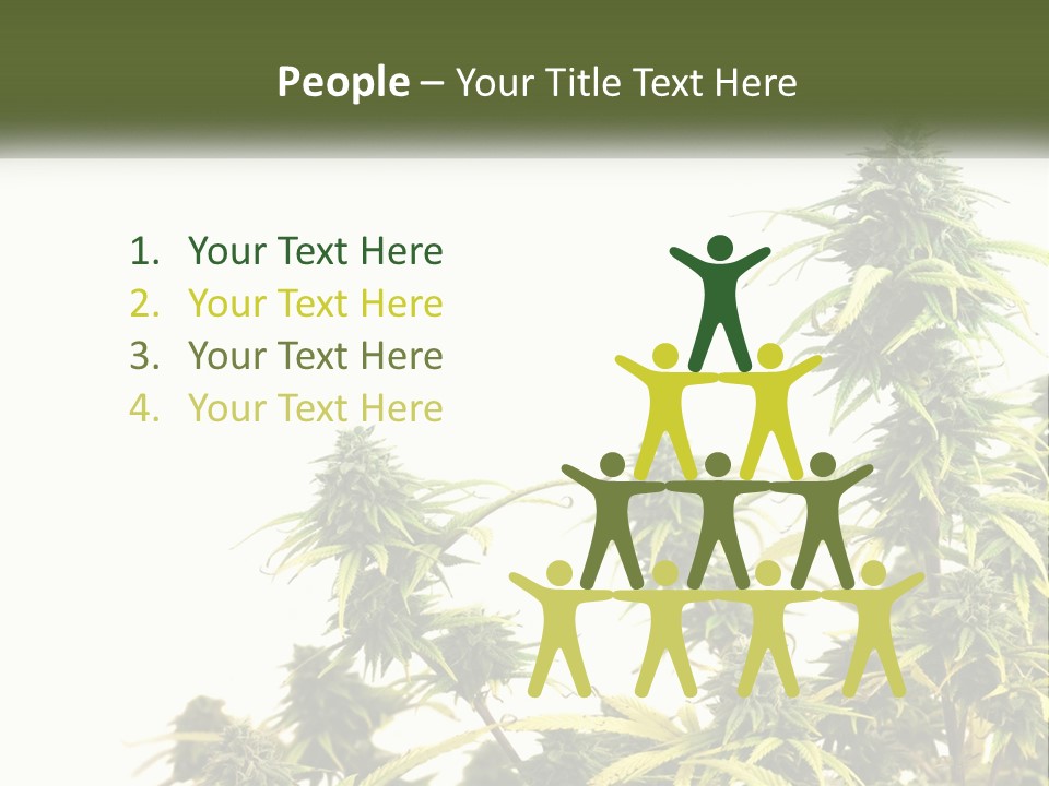 Leaf House Buy PowerPoint Template