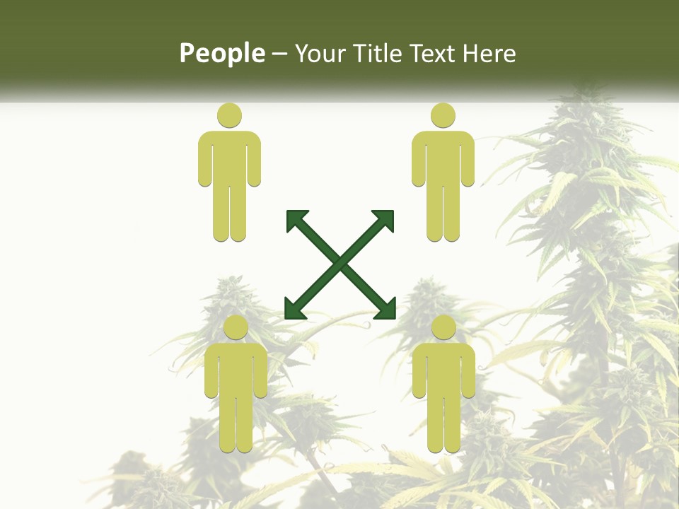 Leaf House Buy PowerPoint Template