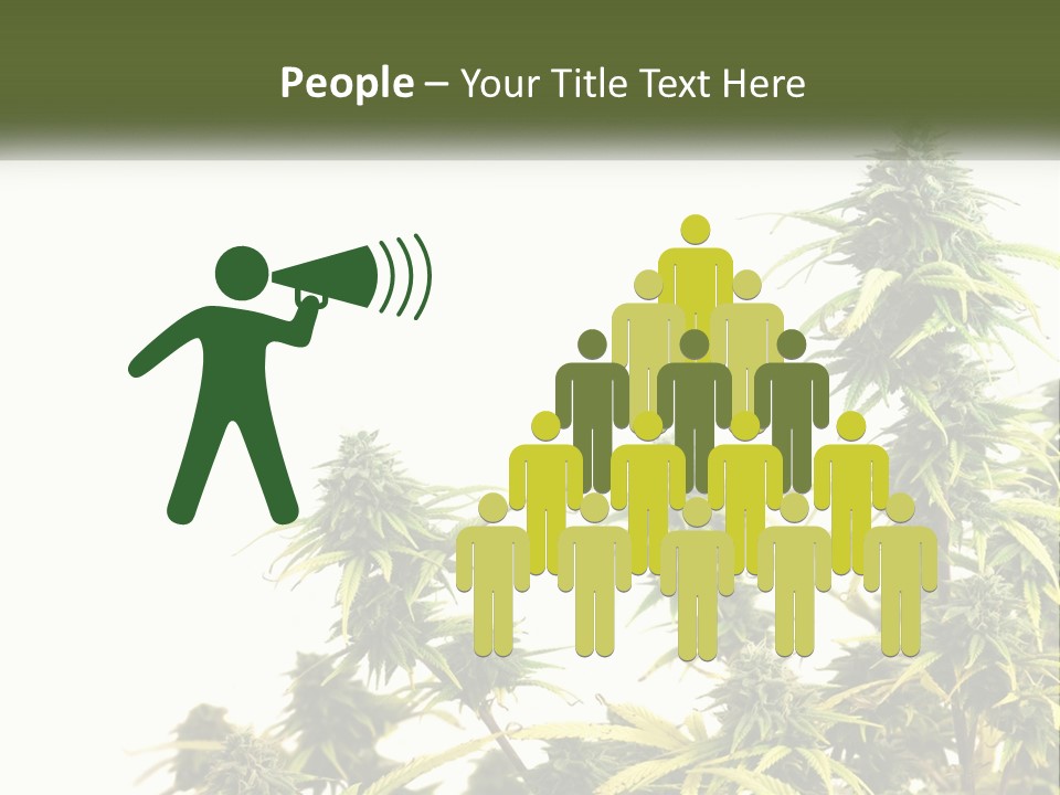 Leaf House Buy PowerPoint Template