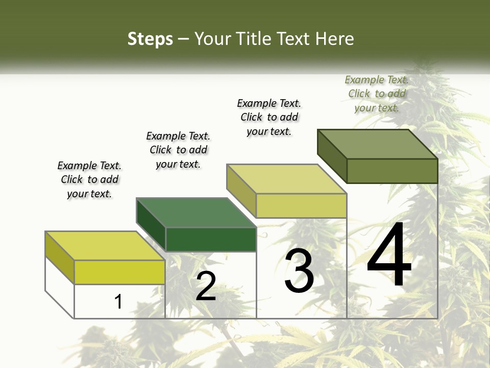 Leaf House Buy PowerPoint Template