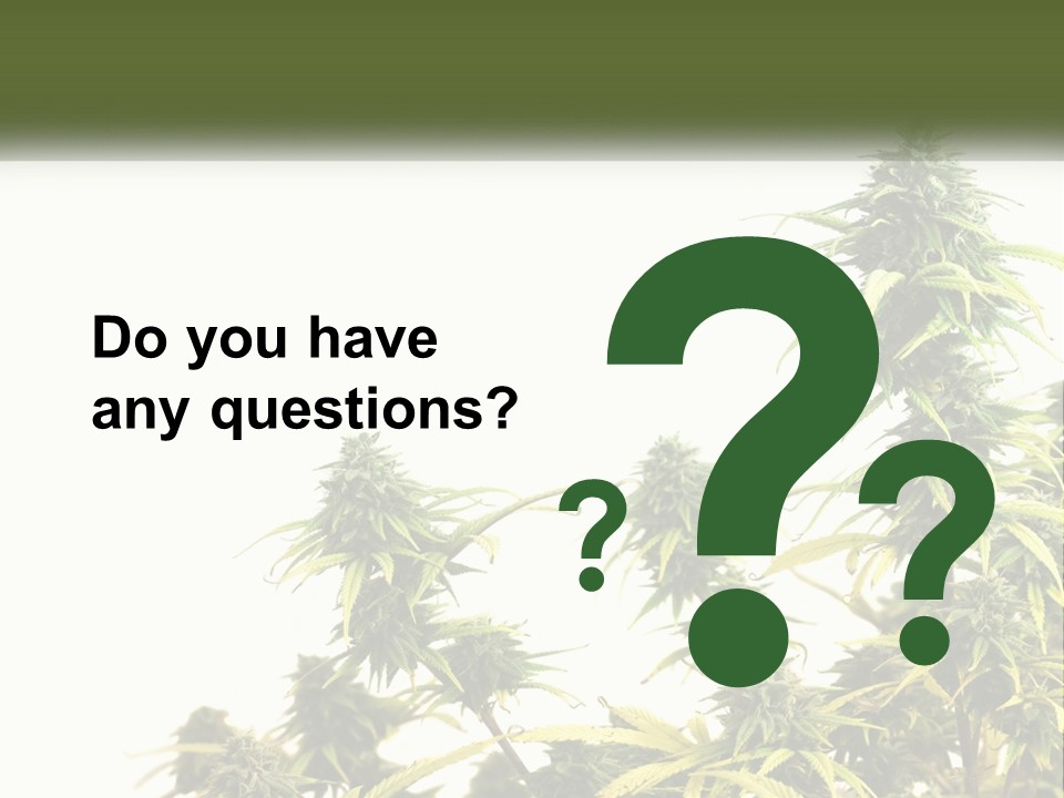 Leaf House Buy PowerPoint Template