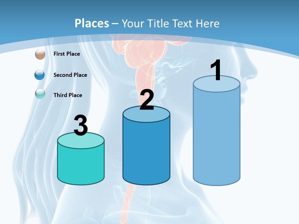 Leaf Park Holding PowerPoint Template